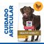 12 kg Hill's Science Plan Healthy Mobility Adult Large Pollo pienso para perros, , large indicador imagen numero 2